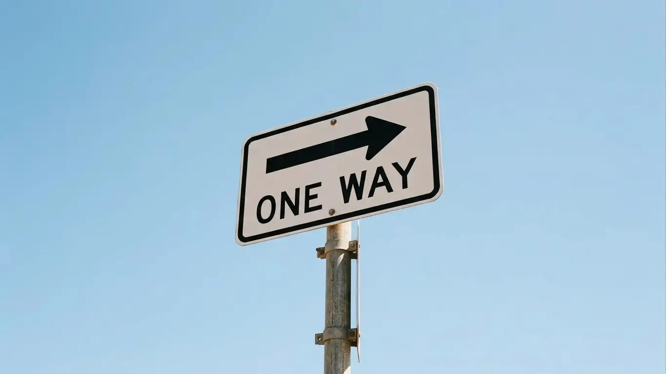 One-way street sign photographed against a clear sky